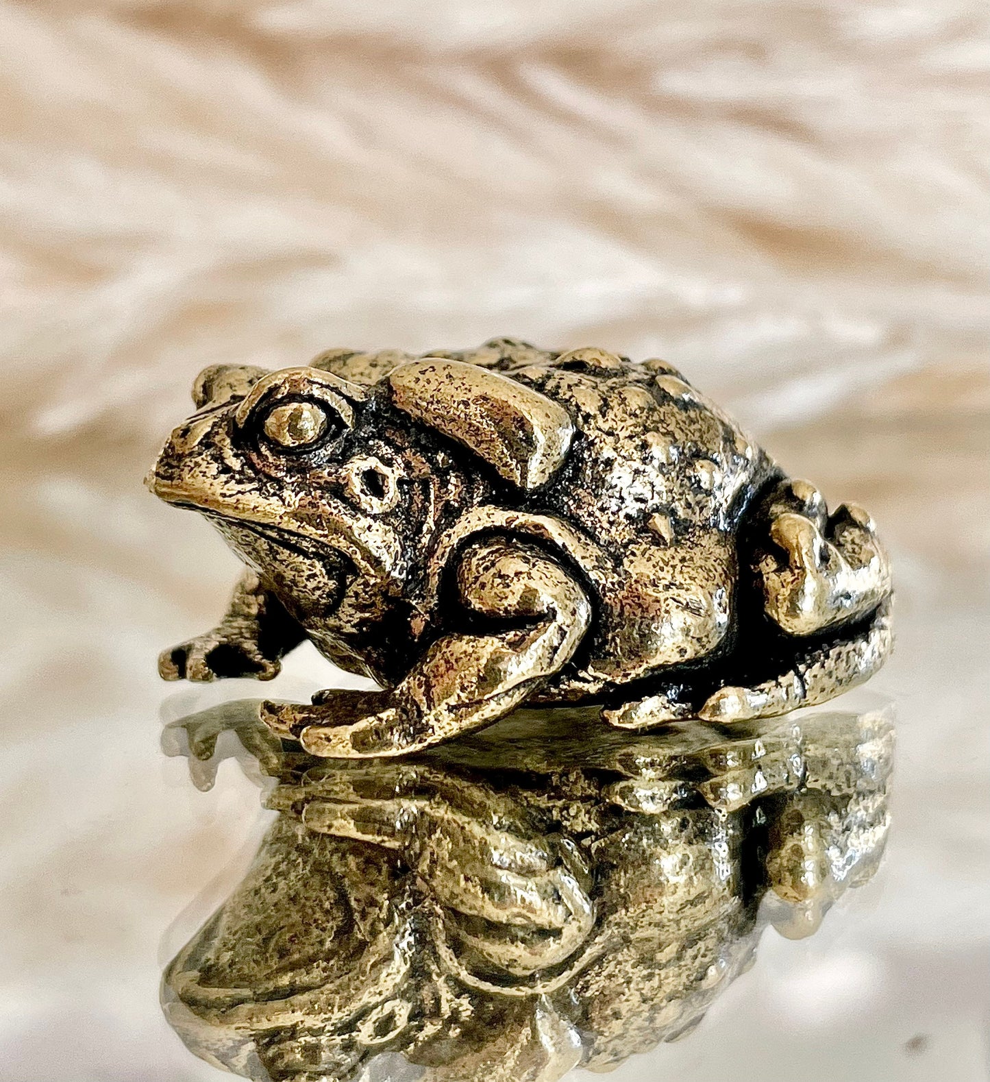 Common toad, lifelike Copper Cast, Solid brass figurine, Lost Wax Casting, Metal Artwork, Creative gift, Paperweight, Desktop ornament