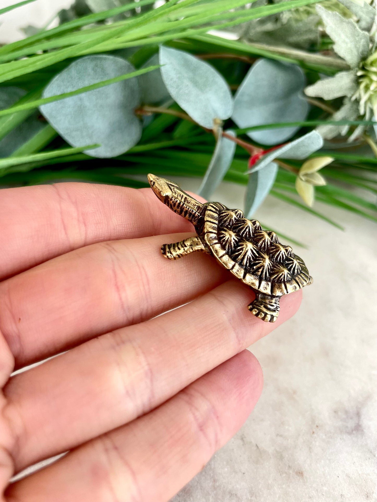 Solid brass Snapping turtle figurine, Alligator turtle statue, beach coastal ornament, ocean lover, metal paperweight, nautical decor