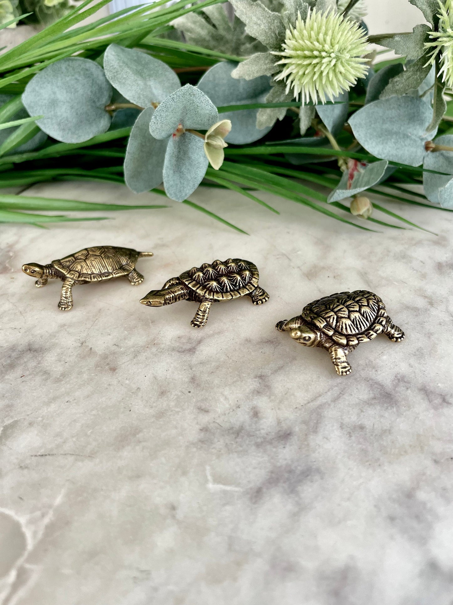 Solid brass Snapping turtle figurine, Alligator turtle statue, beach coastal ornament, ocean lover, metal paperweight, nautical decor