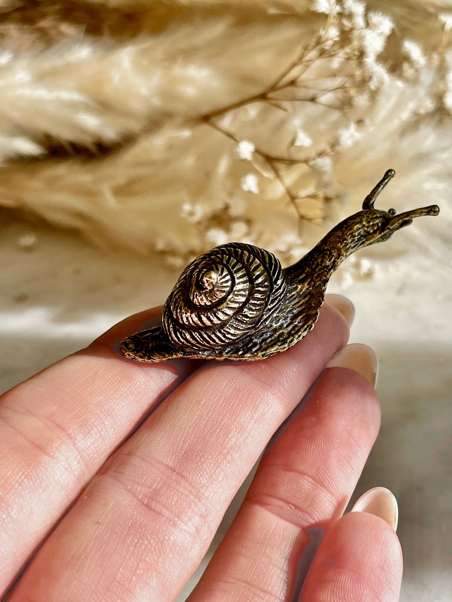 Solid brass Happy Garden Snail Miniature, Metal Snail figurine, lifelike solid brass shelled gastropod ornament