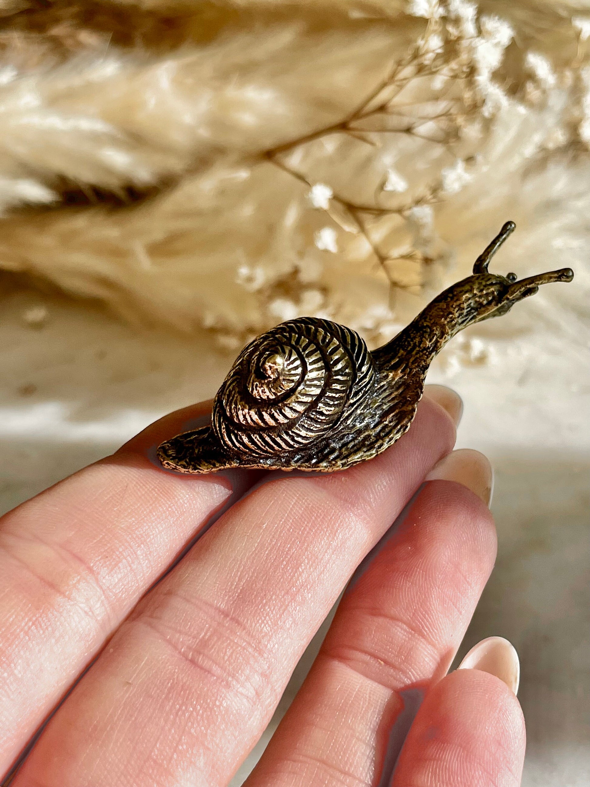 Solid brass Happy Garden Snail Miniature, Metal Snail figurine, lifelike solid brass shelled gastropod ornament