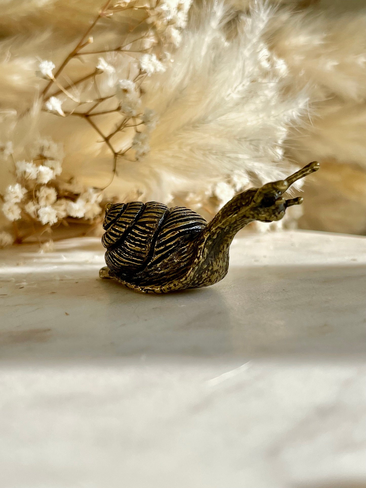 Solid brass Happy Garden Snail Miniature, Metal Snail figurine, lifelike solid brass shelled gastropod ornament