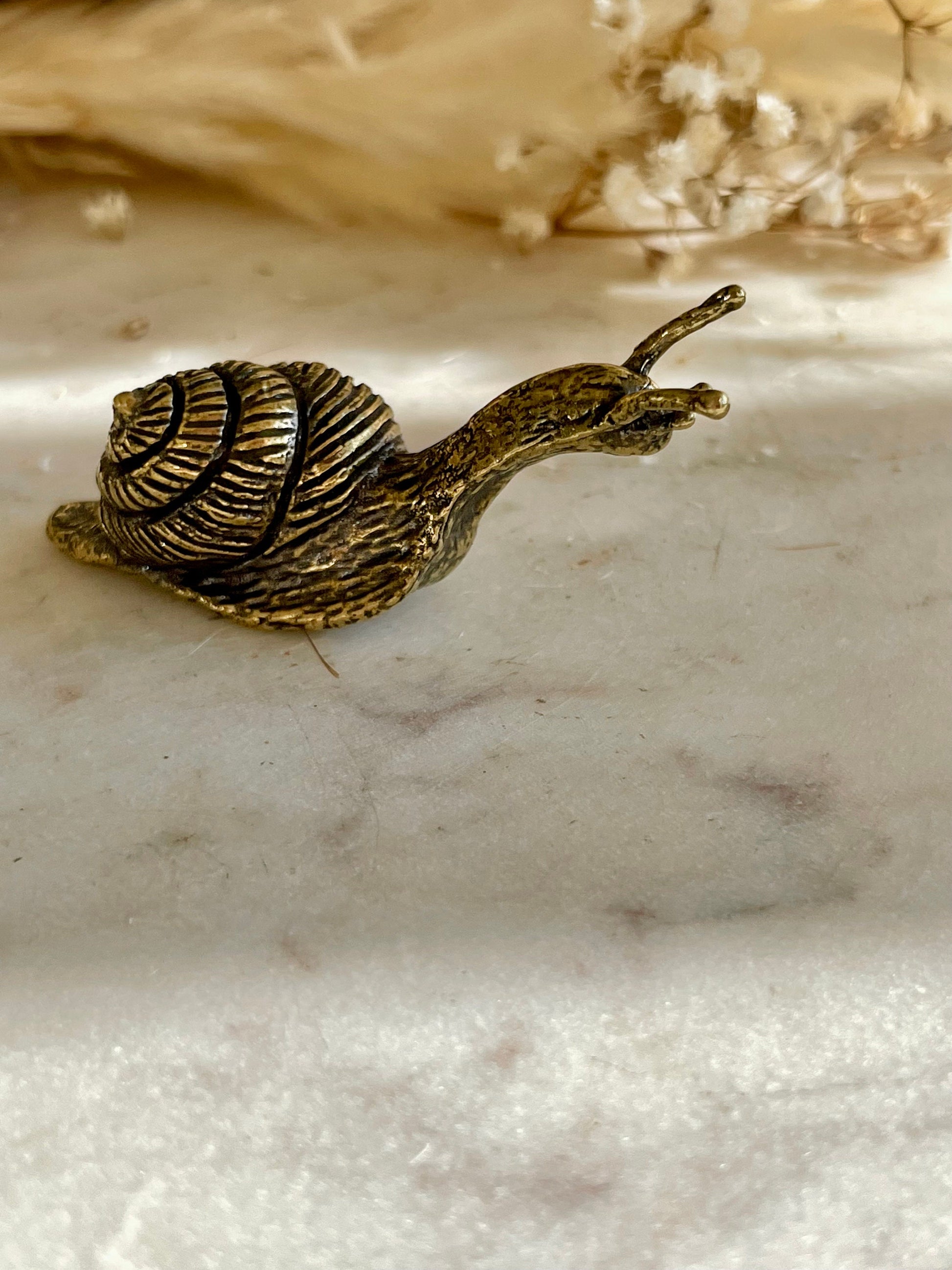 Solid brass Happy Garden Snail Miniature, Metal Snail figurine, lifelike solid brass shelled gastropod ornament