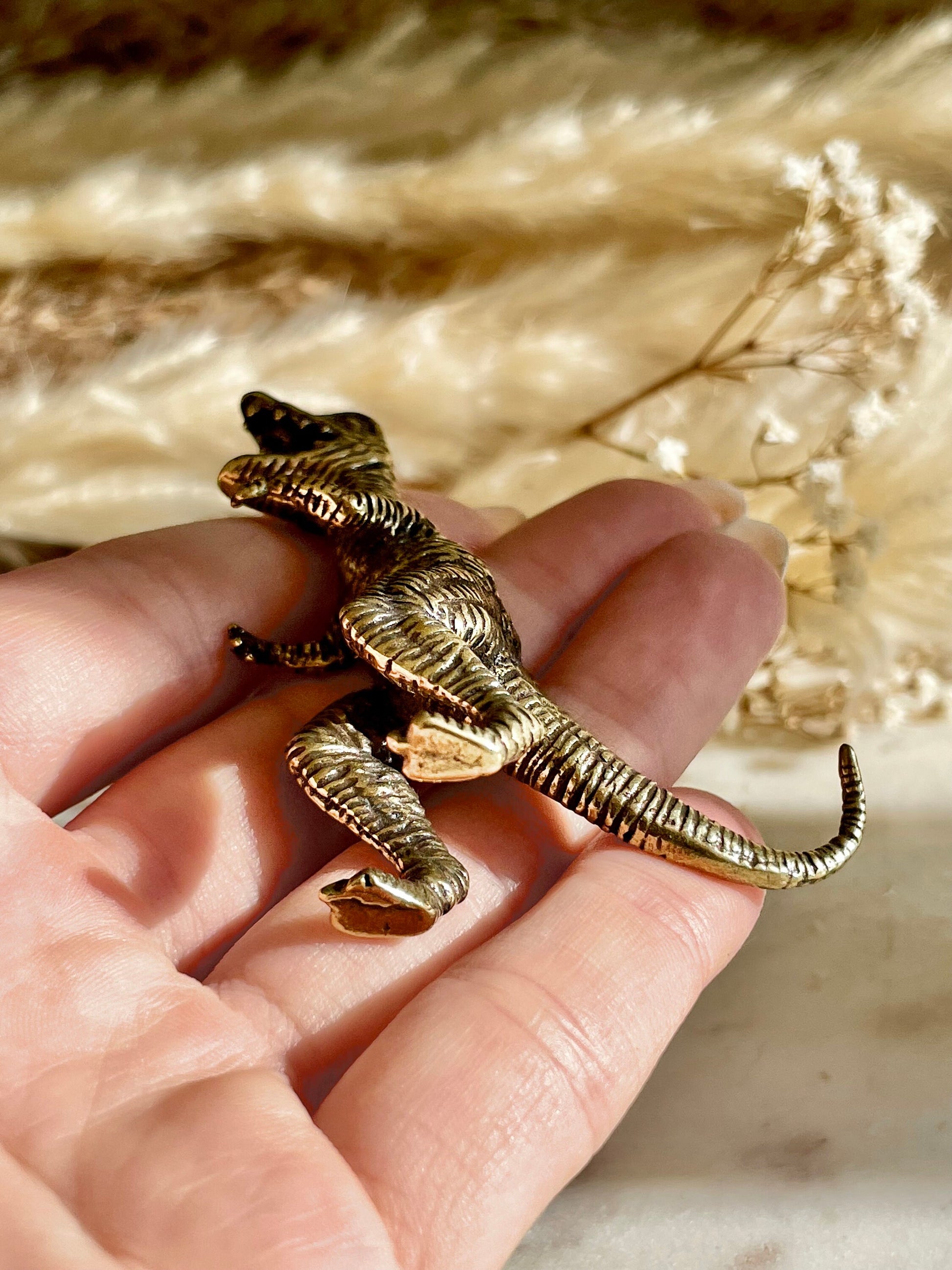 Solid brass Tyrannosaurus rex Miniature, brass Godzilla, solid Tabletop decor dinosaur Figurine, Creative desktop ornament
