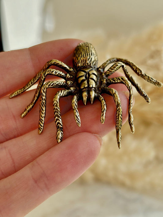 Sydney funnel-web spider figurine, spider metal statue, Lifelike solid brass spider figurine, scary Sculpture, spider lover gift