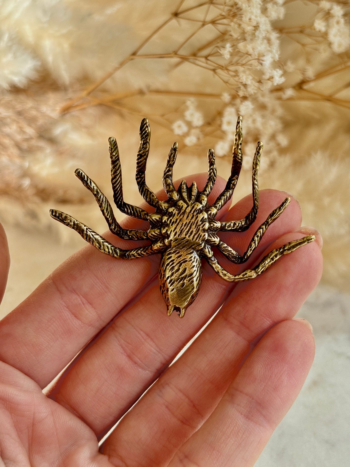 Sydney funnel-web spider figurine, spider metal statue, Lifelike solid brass spider figurine, scary Sculpture, spider lover gift