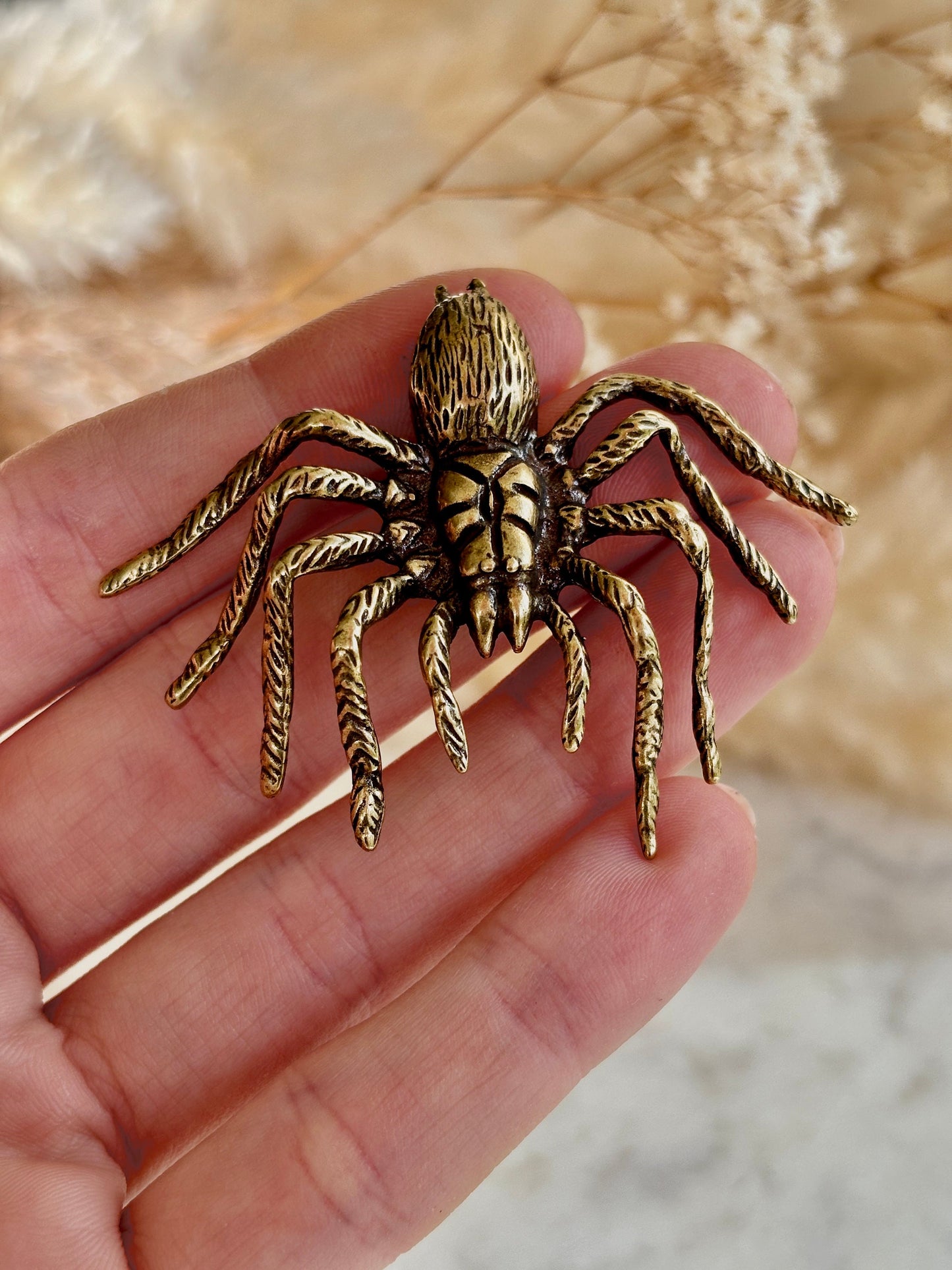 Sydney funnel-web spider figurine, spider metal statue, Lifelike solid brass spider figurine, scary Sculpture, spider lover gift