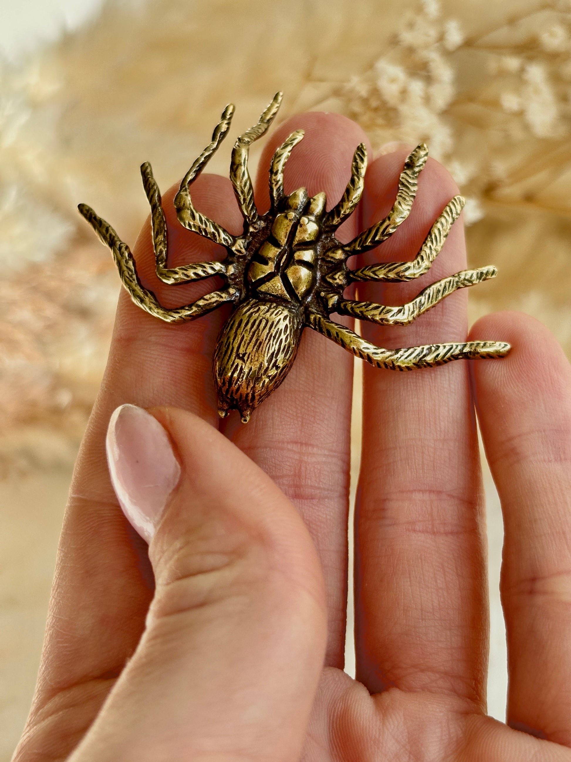 Sydney funnel-web spider figurine, spider metal statue, Lifelike solid brass spider figurine, scary Sculpture, spider lover gift