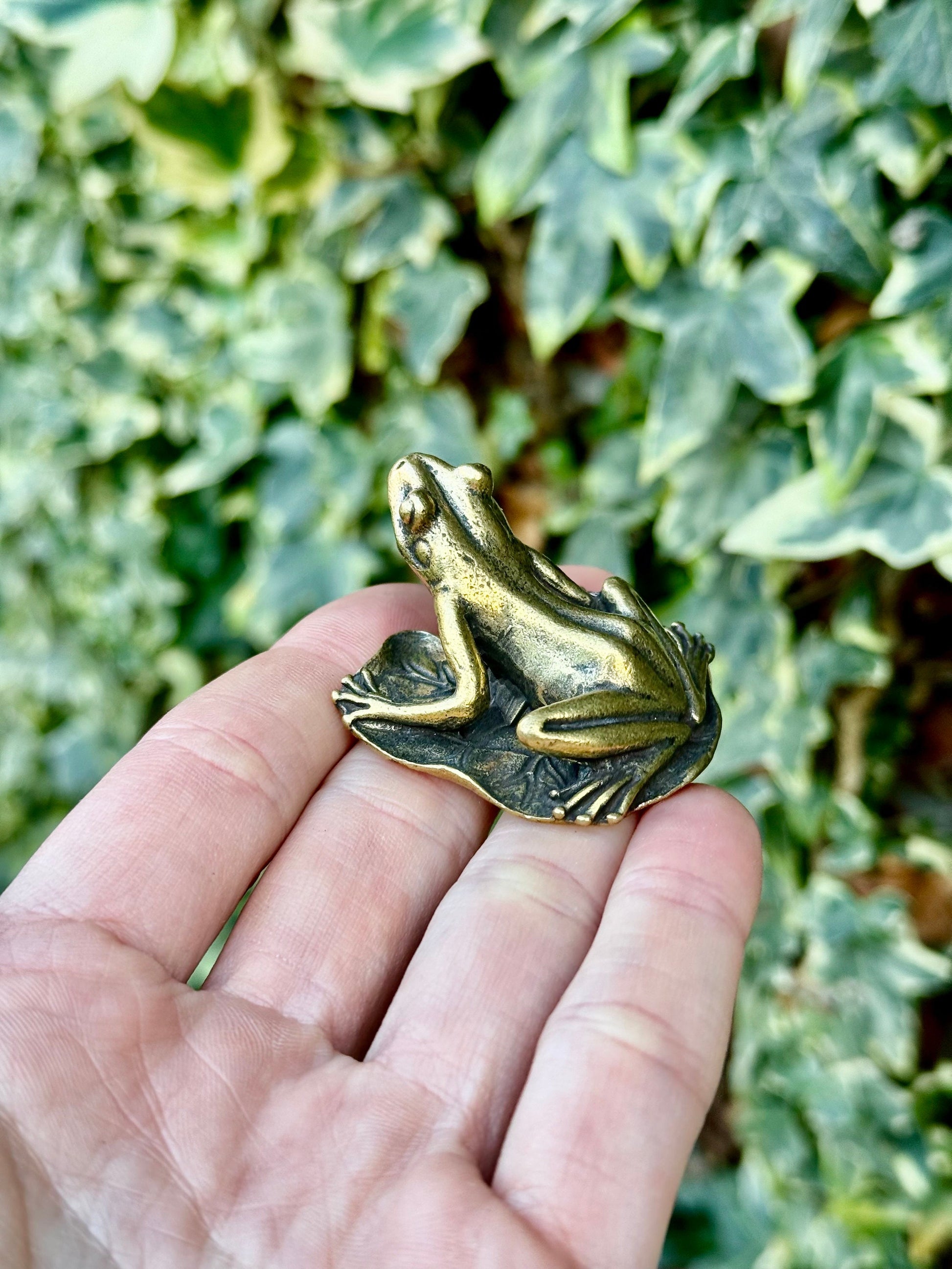 Big Lifelike Solid Brass Frog on a leaf figurine, Realistic Frog Statue, Small Paperweight, Cute collectible figurine, Desk Accessory
