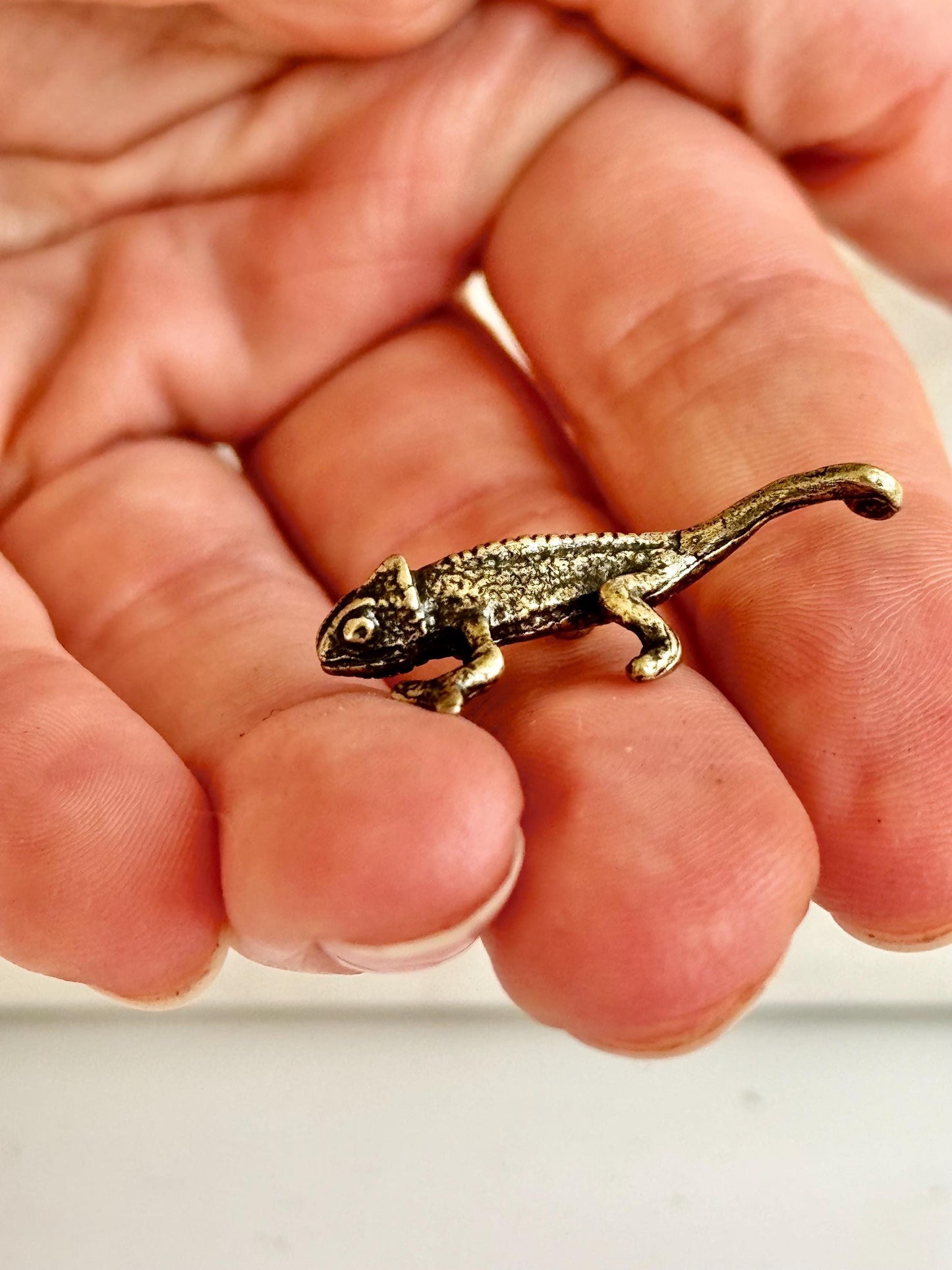 Tiny Solid Brass fine Chameleon figurine, lizard lover gifts, reptile lover gifts, gecko trinket