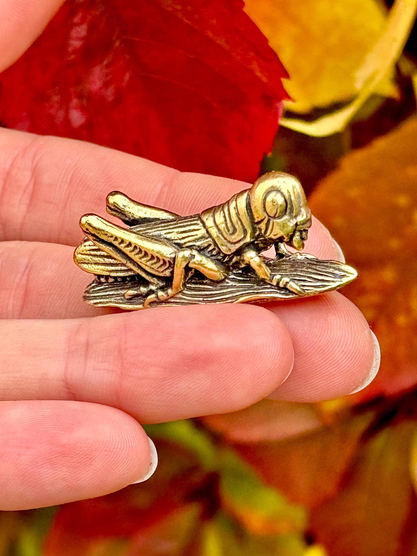 Fine lifelike Solid brass buzzing grasshopper figurine, Tiny Cricket Miniature, insect Ornament, Plant insect decoration