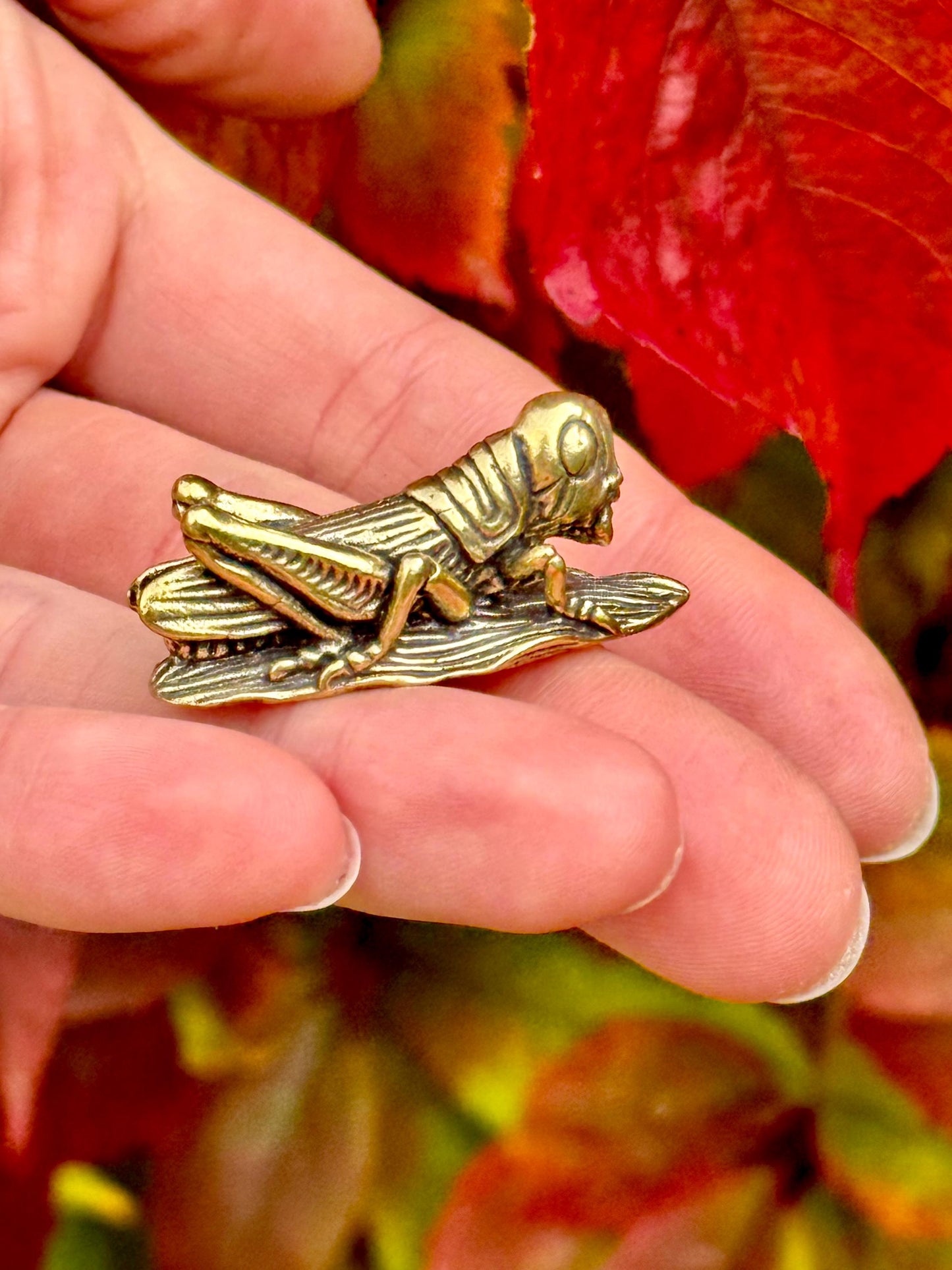 Fine lifelike Solid brass buzzing grasshopper figurine, Tiny Cricket Miniature, insect Ornament, Plant insect decoration