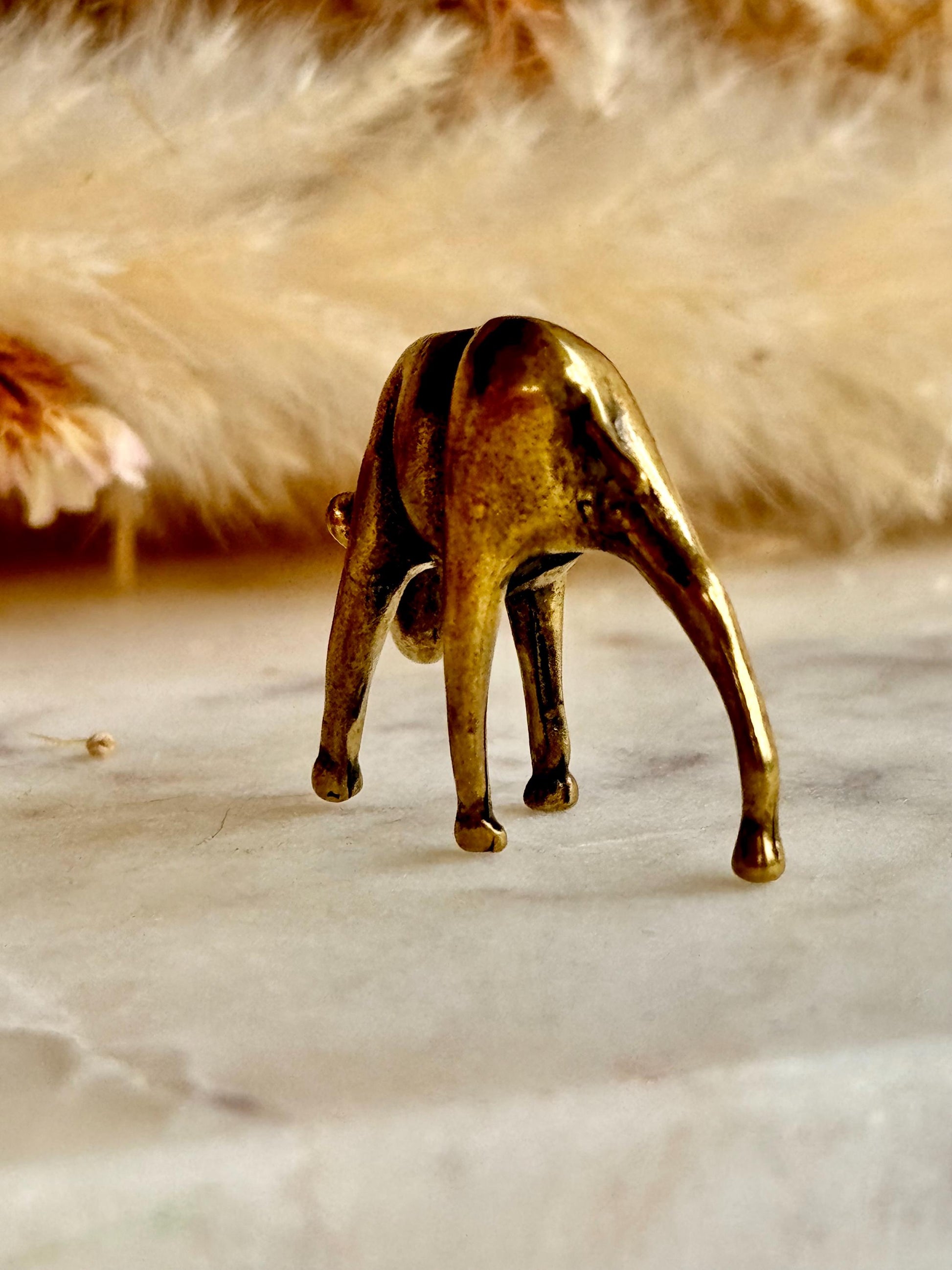 Tiny Solid brass lamb sculpture, Farm Baby animal figurine, calf ornament, Cute sheep statuette, English lamb Figure Statue, gift for farmer