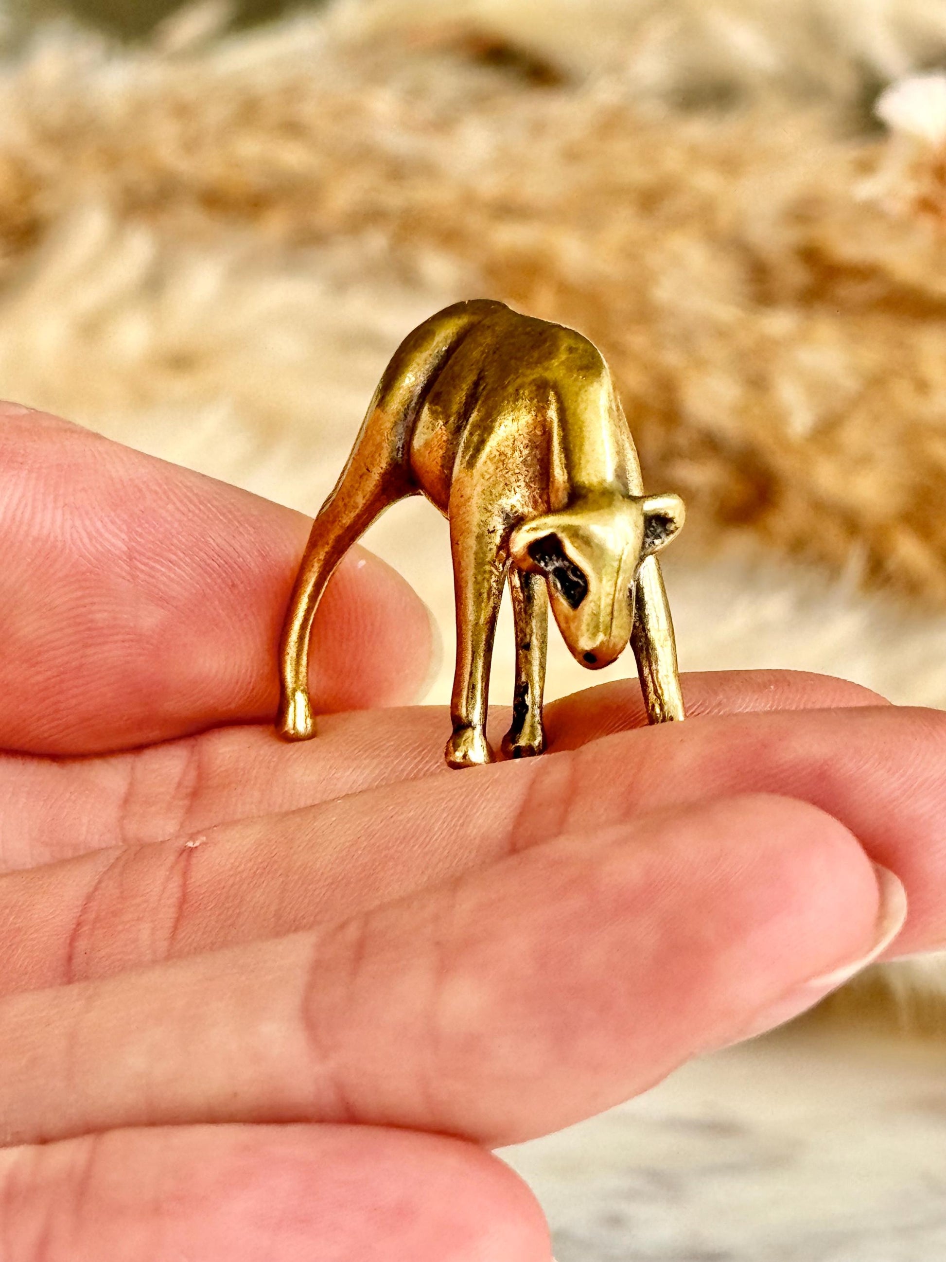 Tiny Solid brass lamb sculpture, Farm Baby animal figurine, calf ornament, Cute sheep statuette, English lamb Figure Statue, gift for farmer