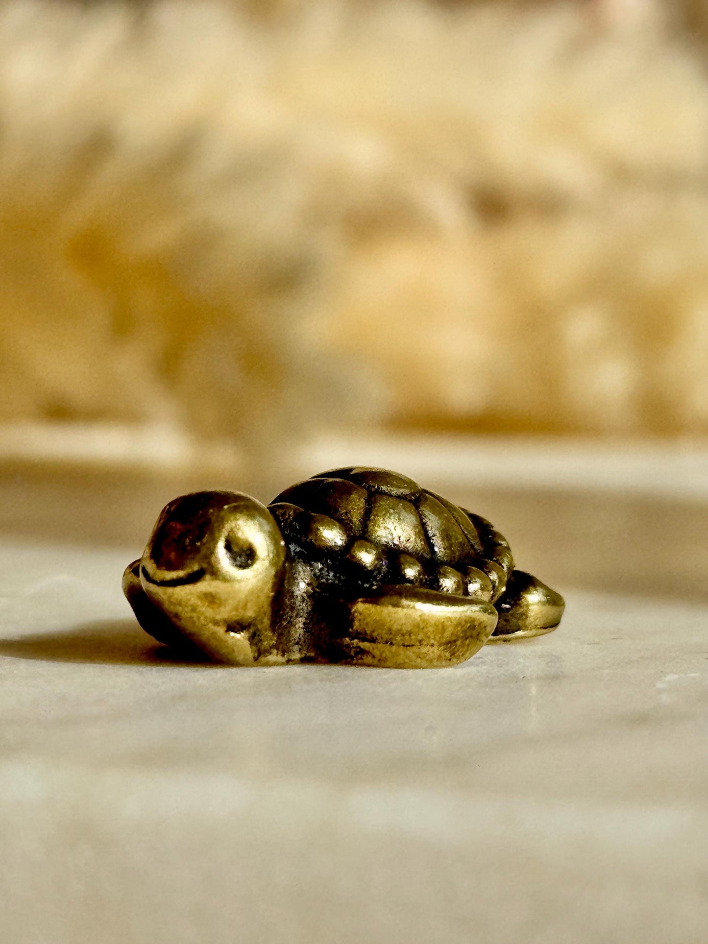 Tiny Love Turtle figurine, Fine solid brass ornament, Turtle with a heart ornament, adorable sea creature gift, tortoise metal ornament