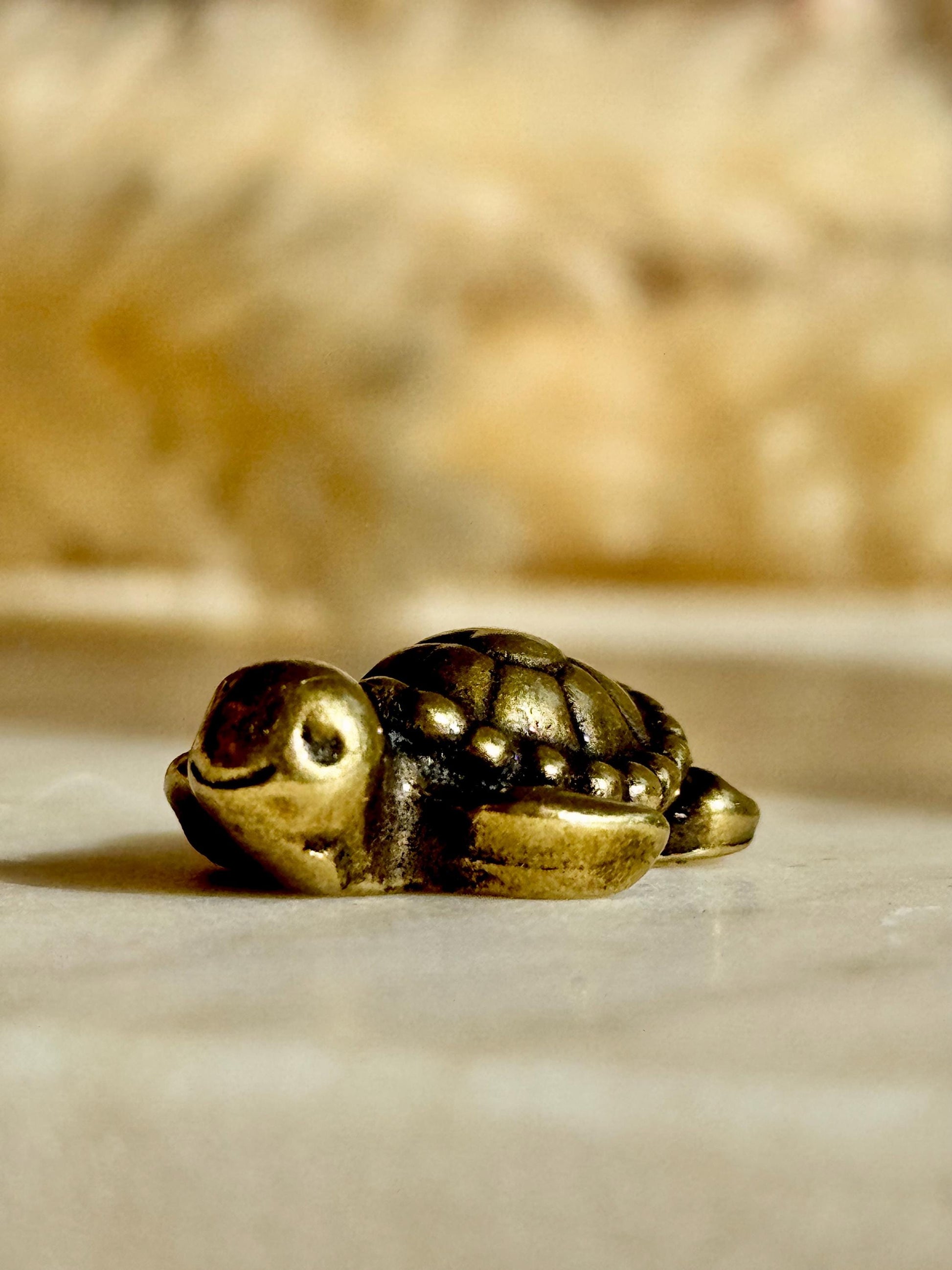 Tiny Love Turtle figurine, Fine solid brass ornament, Turtle with a heart ornament, adorable sea creature gift, tortoise metal ornament