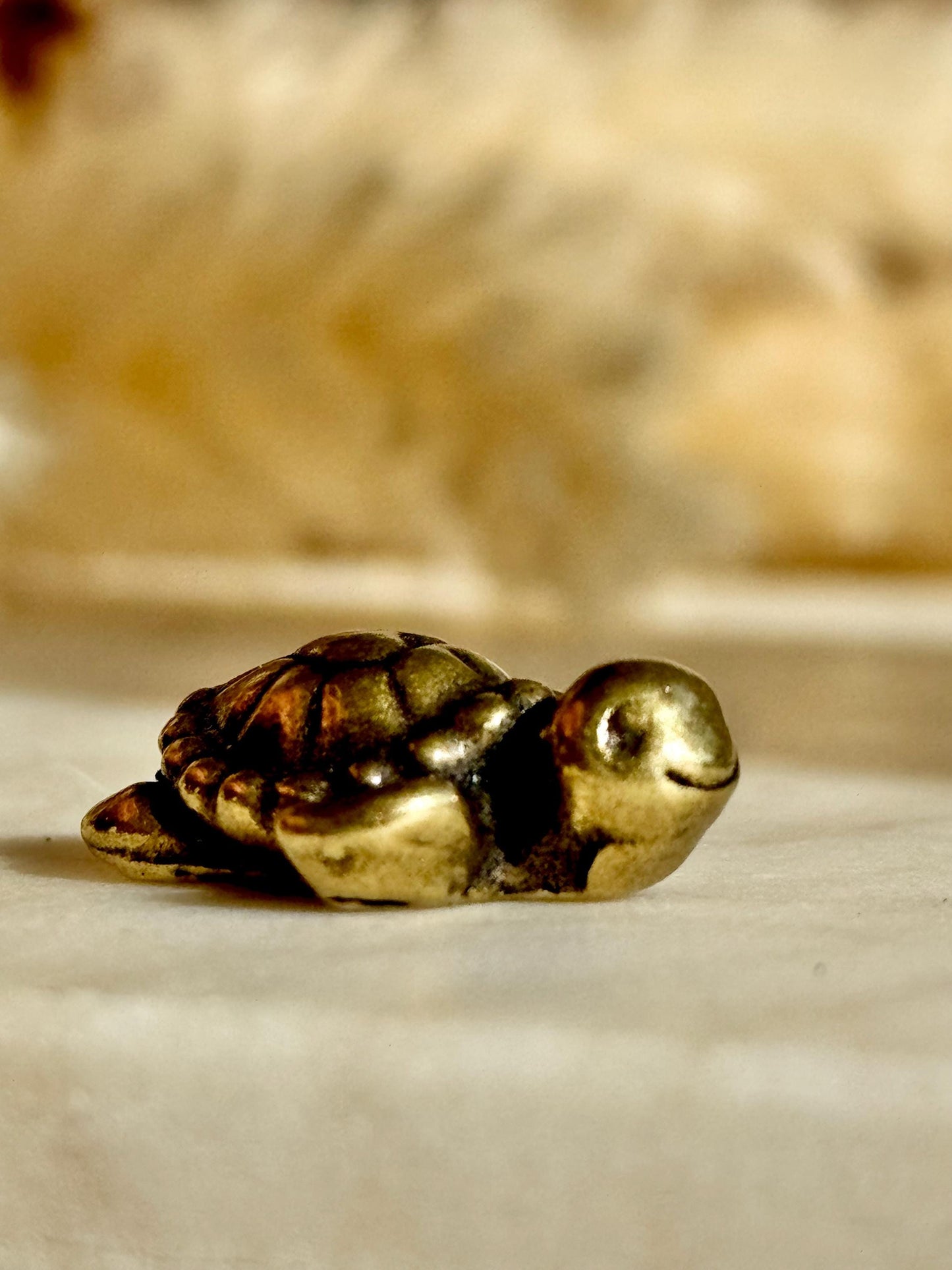 Tiny Love Turtle figurine, Fine solid brass ornament, Turtle with a heart ornament, adorable sea creature gift, tortoise metal ornament