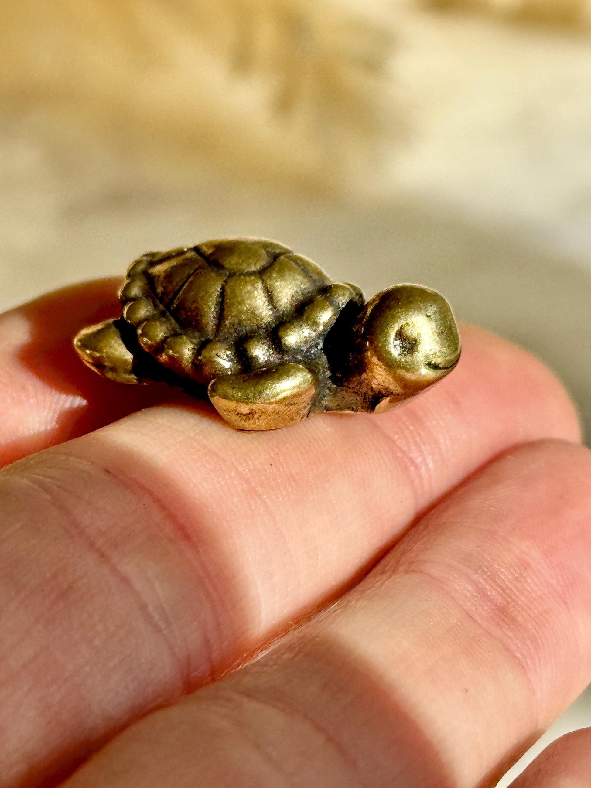 Tiny Love Turtle figurine, Fine solid brass ornament, Turtle with a heart ornament, adorable sea creature gift, tortoise metal ornament