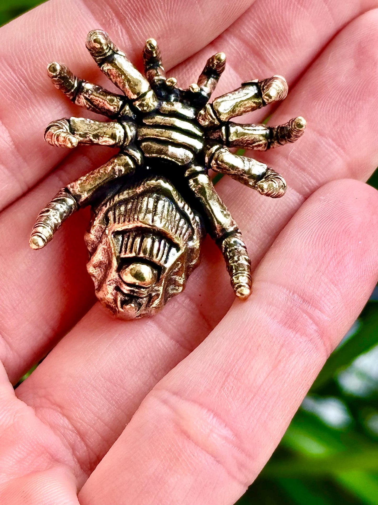 Solid brass tarantula figurine, realistic spider sculpture, metal arachnid ornament, detailed brass creepy crawler paperweight