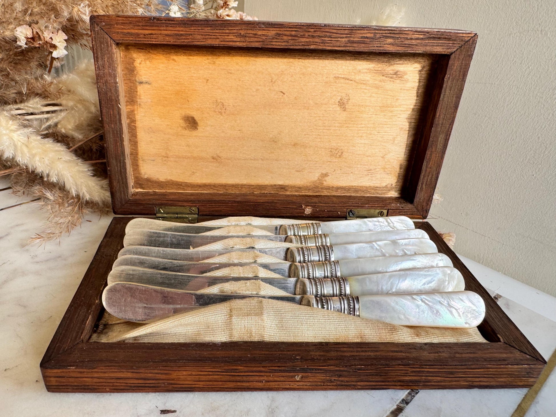 Antique English Mother of Pearl & Silver-Plated Dessert Knives Set in Wooden Case – c. 19th Century