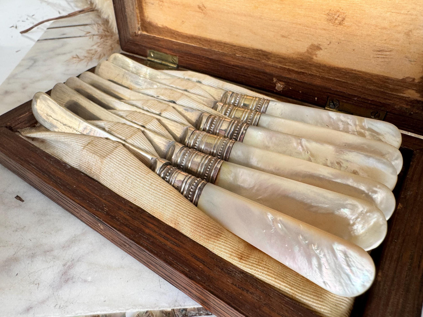 Antique English Mother of Pearl & Silver-Plated Dessert Knives Set in Wooden Case – c. 19th Century