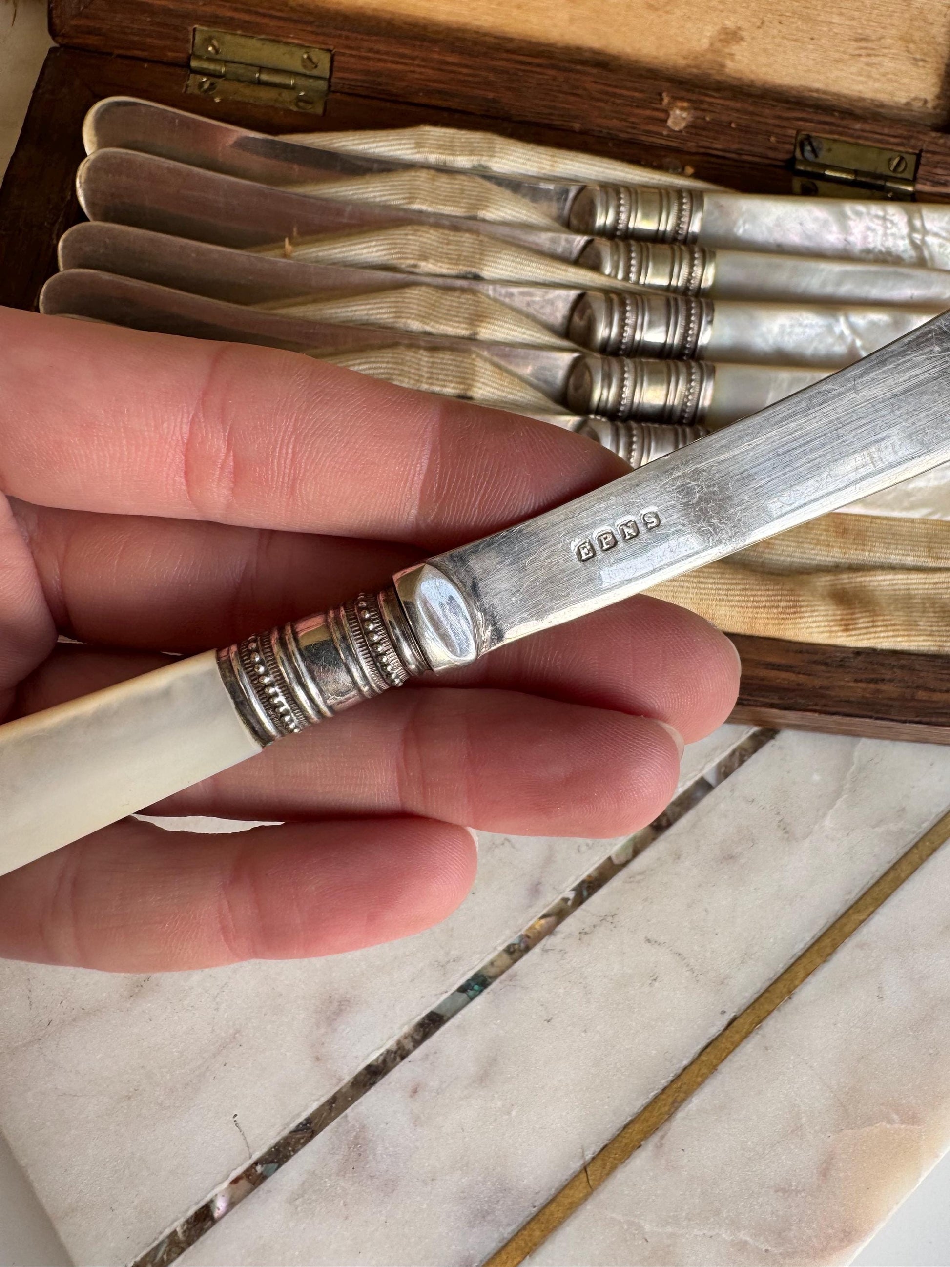 Antique English Mother of Pearl & Silver-Plated Dessert Knives Set in Wooden Case – c. 19th Century