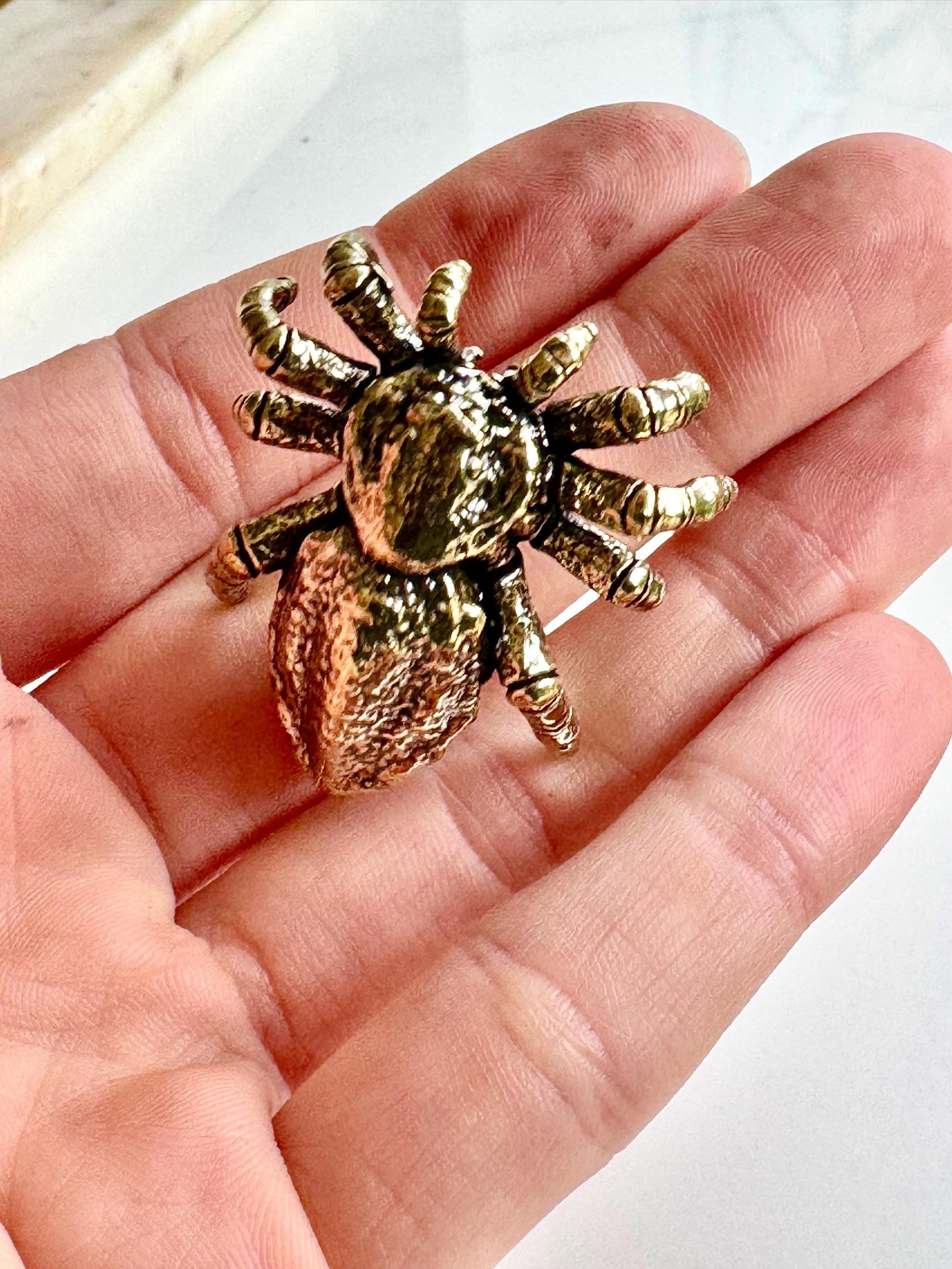 Solid brass tarantula figurine, realistic spider sculpture, metal arachnid ornament, detailed brass creepy crawler paperweight