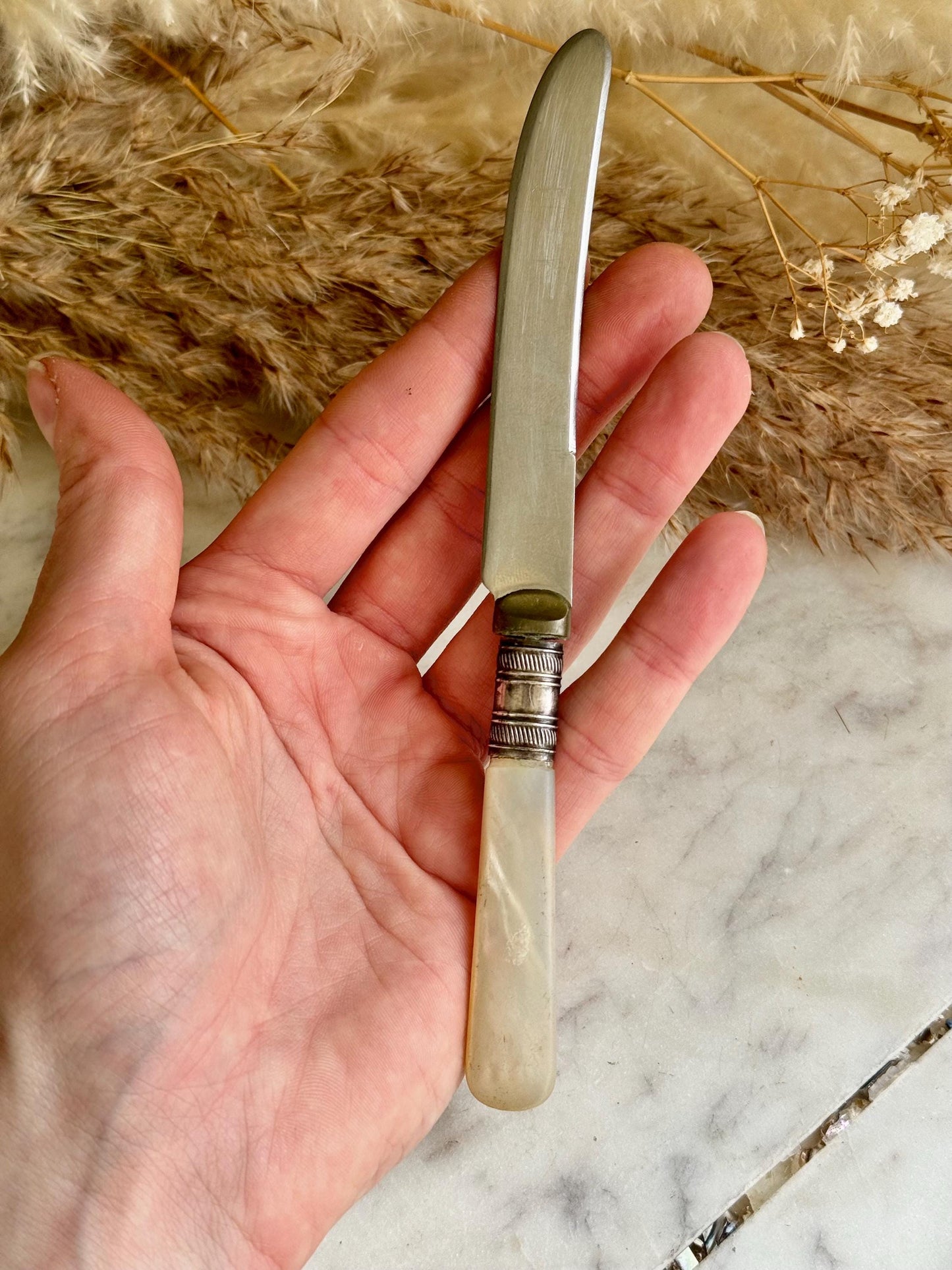 English Set of Five Vintage Mother of Pearl Handled Butter Knives – Mixed Designs