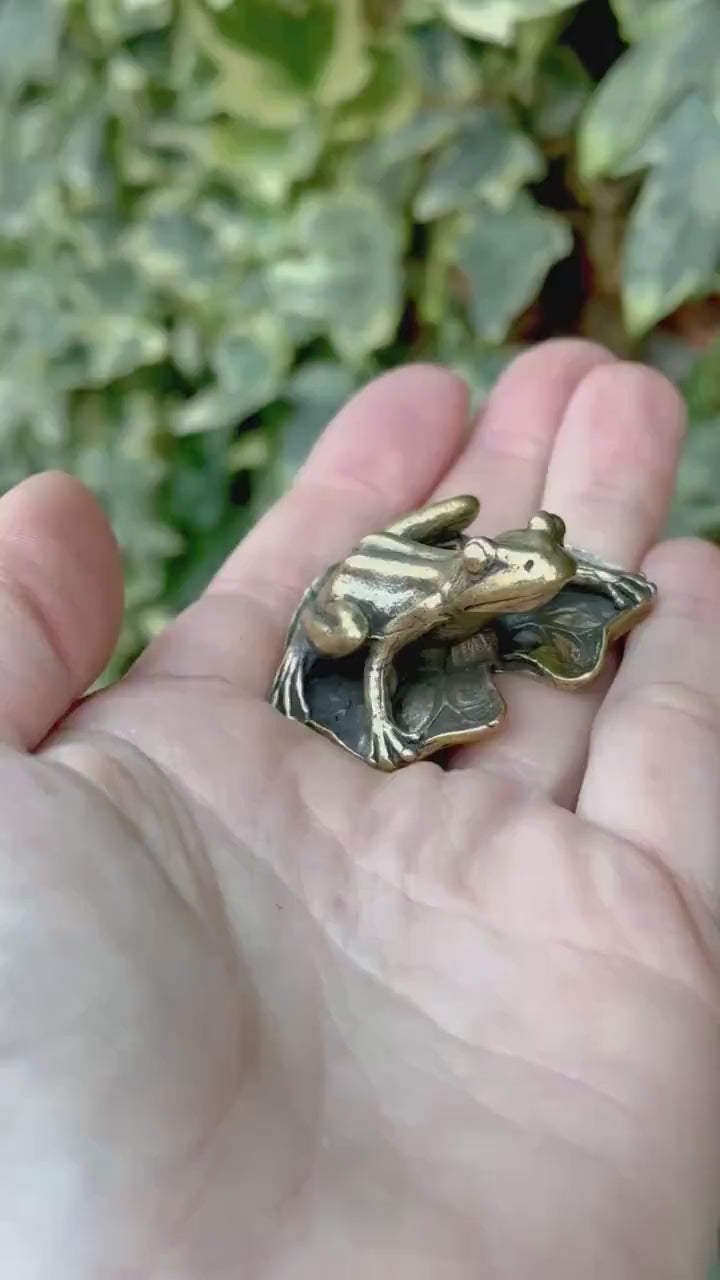 Big Lifelike Solid Brass Frog on a leaf figurine, Realistic Frog Statue, Small Paperweight, Cute collectible figurine, Desk Accessory