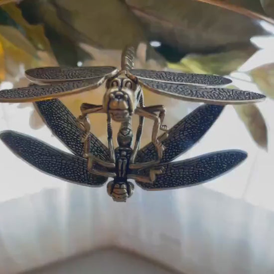 Creative Dragonfly Plant Pot Decoration, dragonfly figurine, Solid Brass, removable wings, creative Cool gift, Insect club