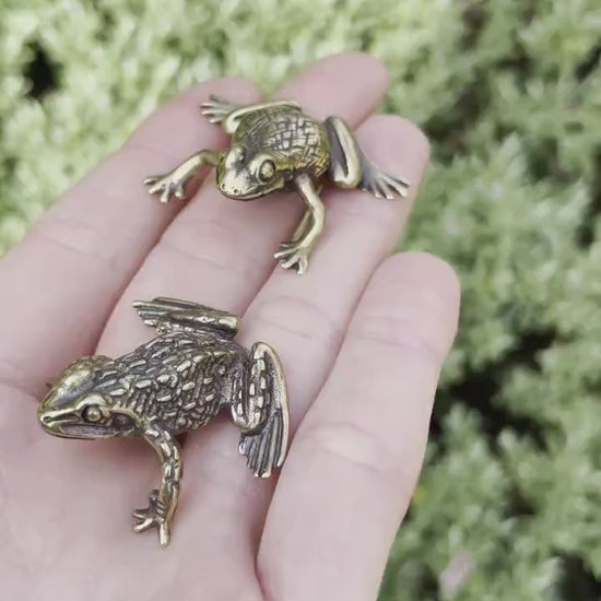 Fine Lifelike Solid Brass Frog figurine, Couple of Frogs Statue, Small Paperweight, Cute collectible figurine, Desk Accessory