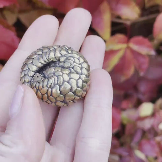 Fine Snuggled Pangolin, Metal Solid Brass Figurine, Paperweight, Desktop ornament, Cozy friend, Home decoration