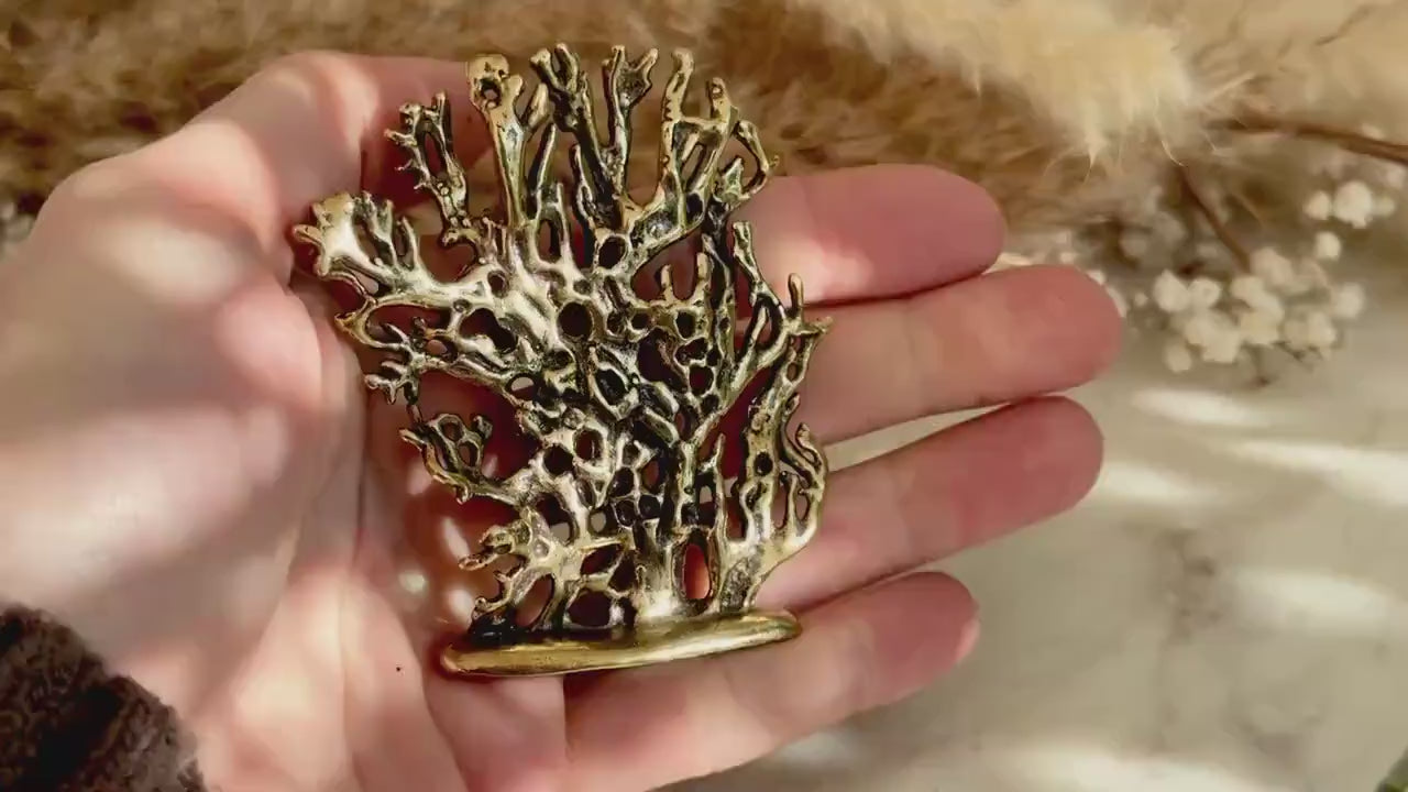 Solid Brass Abstract Sea Coral Sculpture Paperweight — Modern Organic Coastal Decor Accent