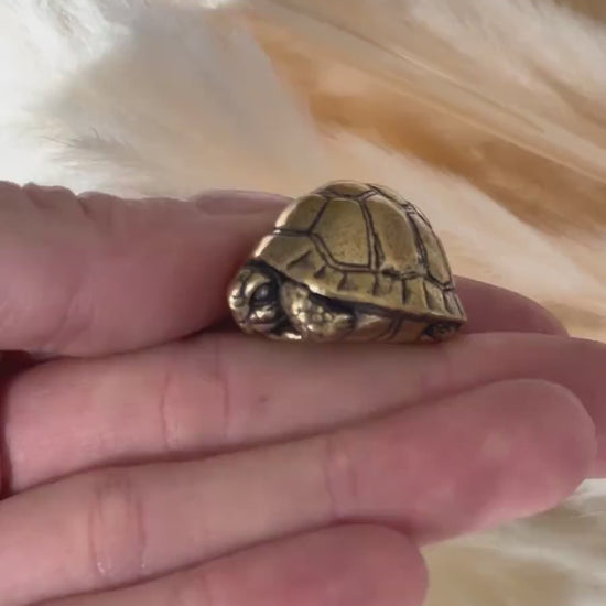 Brass tortoise figurine, solid brass casting, reptile figurine, creative paperweight, brass plant decor, cute gift