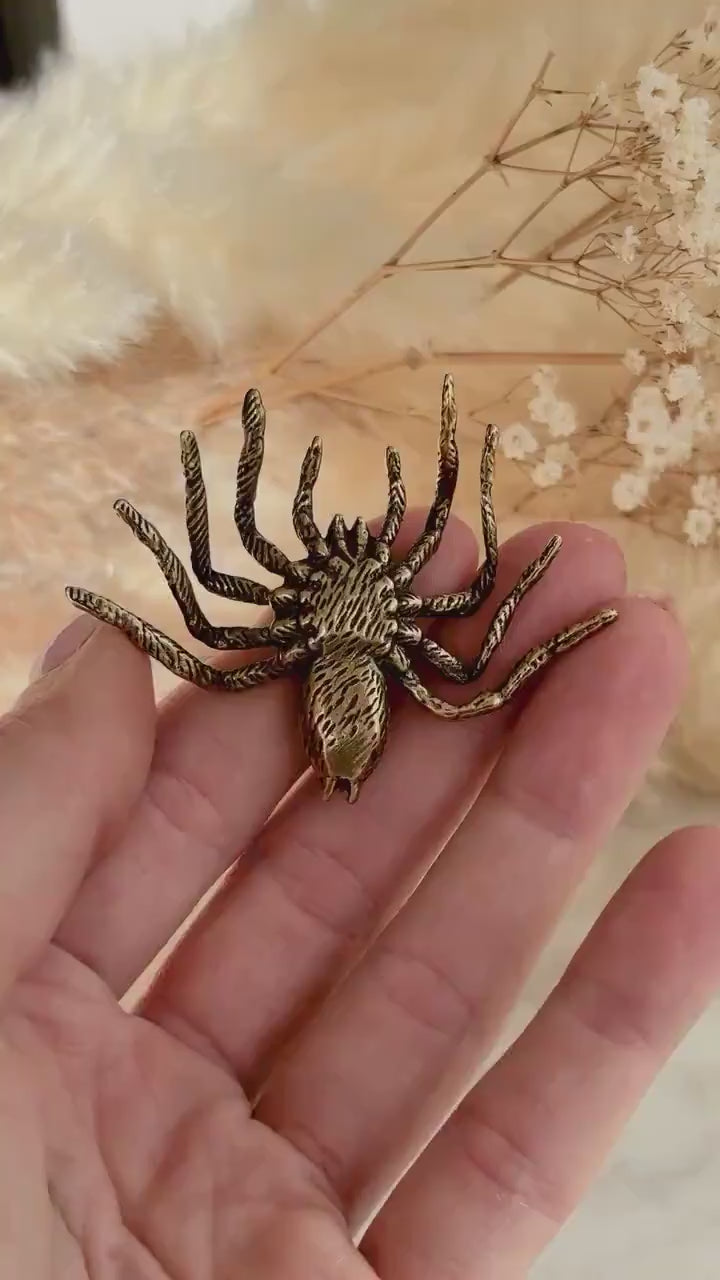 Sydney funnel-web spider figurine, spider metal statue, Lifelike solid brass spider figurine, scary Sculpture, spider lover gift