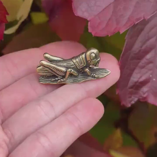 Fine lifelike Solid brass buzzing grasshopper figurine, Tiny Cricket Miniature, insect Ornament, Plant insect decoration