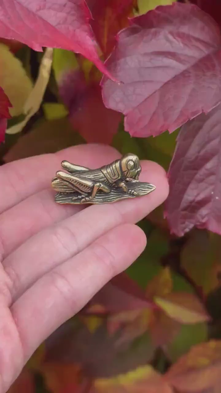 Fine lifelike Solid brass buzzing grasshopper figurine, Tiny Cricket Miniature, insect Ornament, Plant insect decoration