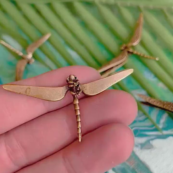 Cute small Dragonfly Plant Pot Decoration, dragonfly figurine, Solid Brass creative dragonfly , Cool gift, Insect club