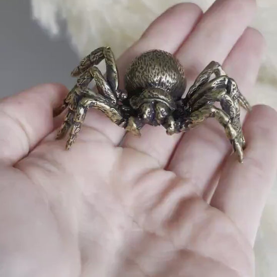 Sydney funnel-web spider figurine, spider metal statue, Lifelike solid brass spider figurine, scary Sculpture, spider lover giftSydney funne